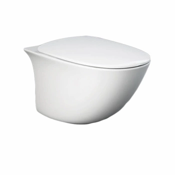 Wc wiszące