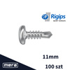 Rigips Self -Screwed šrouby 3,9x11mm 100 ks