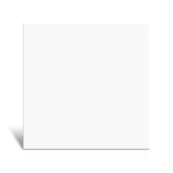 Halcon Blanco Blanco Pulido-Pognogowa Gloss 80x80 Monocoty White