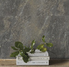 Terasa dlaždice 2 cm 60x120 Imitation Stone Grey