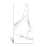 60x120