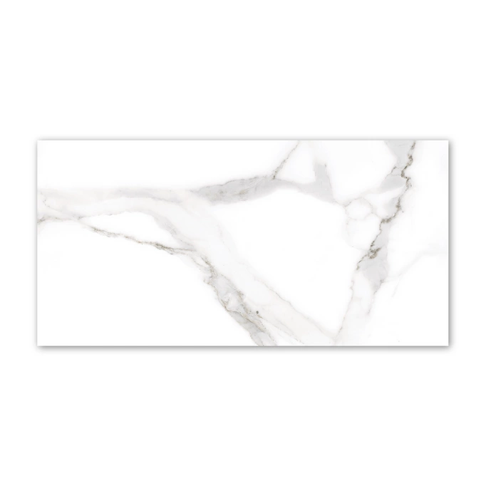 Płytka ścienno-podłogowa mat 60x120 imitacja marmuru biały