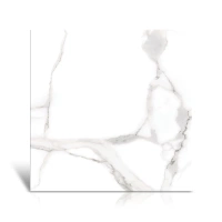 60x60